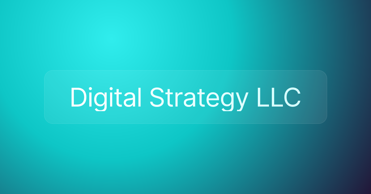 Digital Strategy LLC