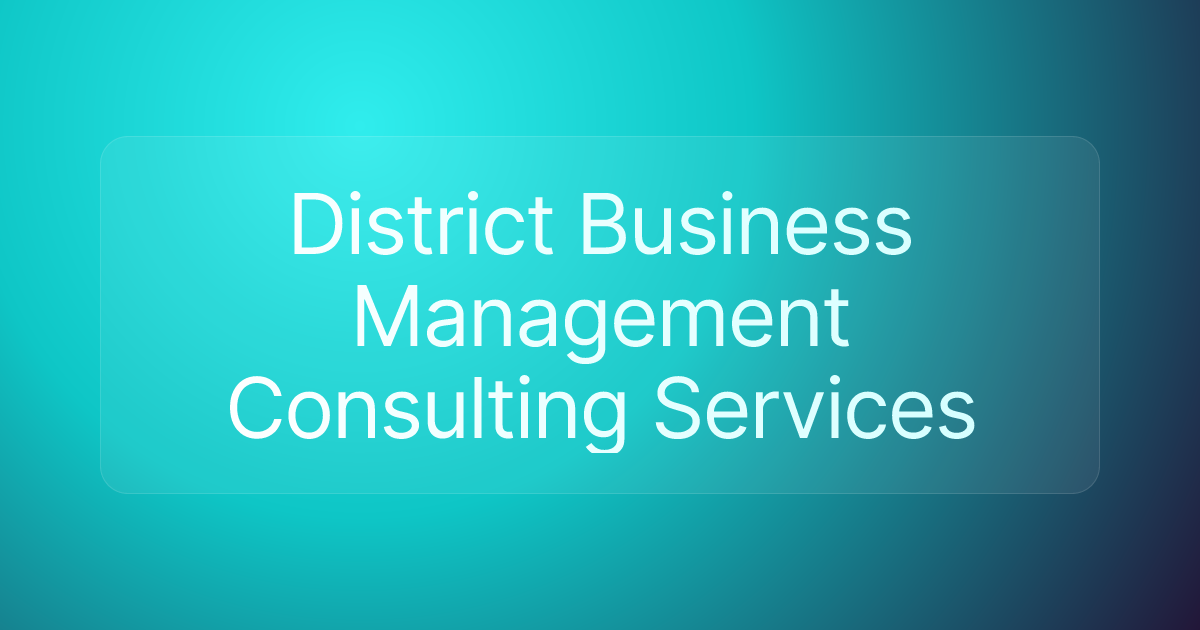 District Business Management Consulting Services