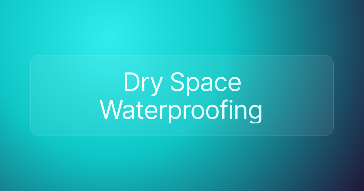 Dry Space Waterproofing