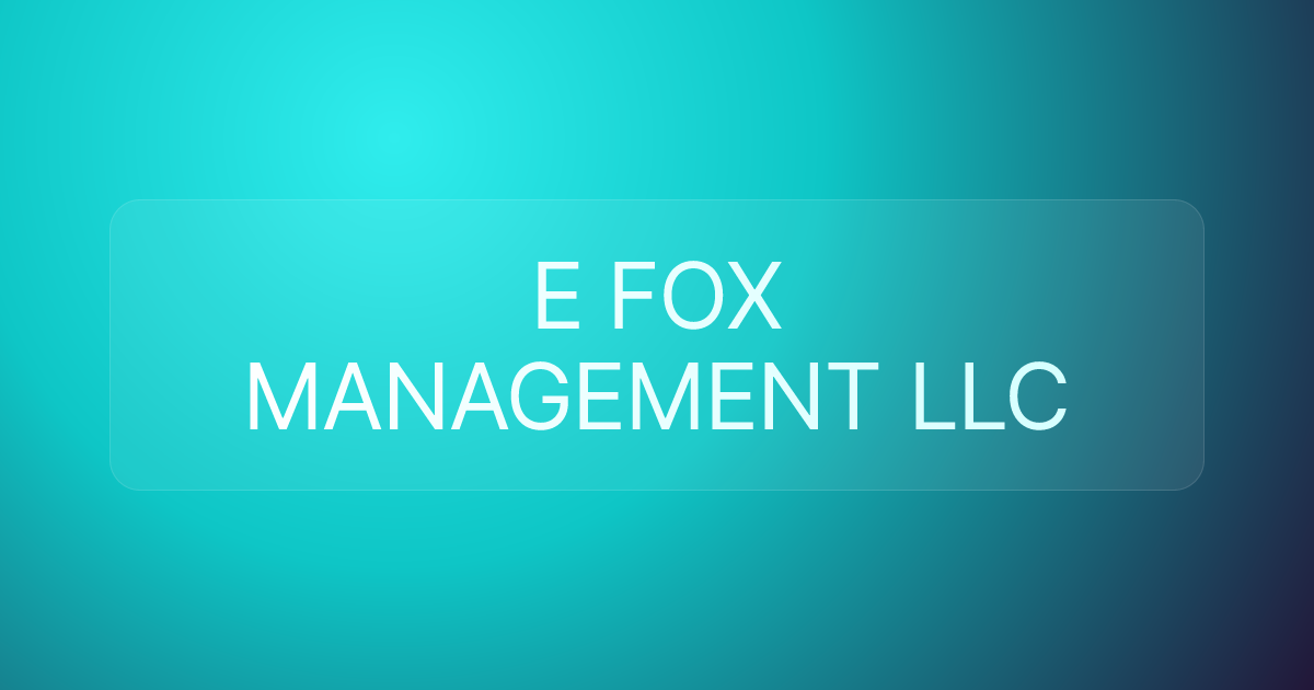 E FOX MANAGEMENT LLC