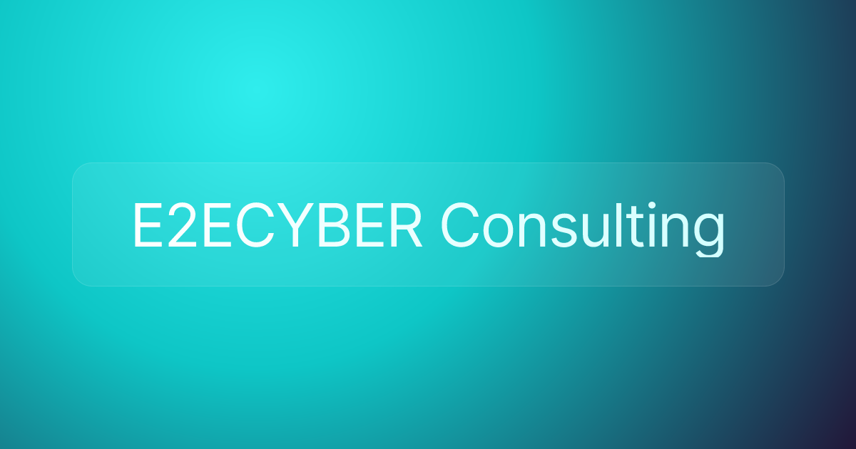 E2ECYBER Consulting