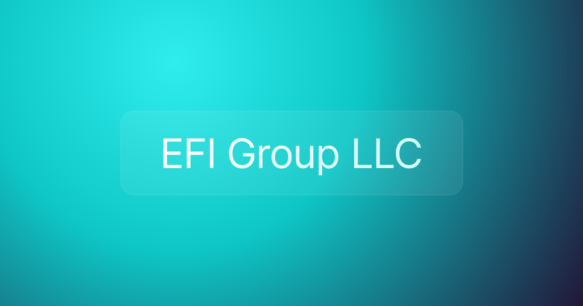 EFI Group LLC