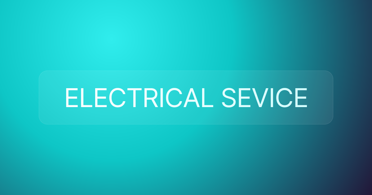ELECTRICAL SEVICE