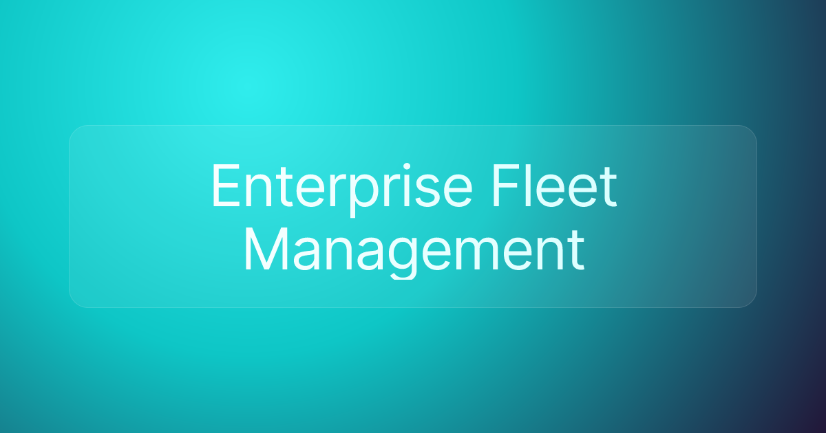 Enterprise Fleet Management