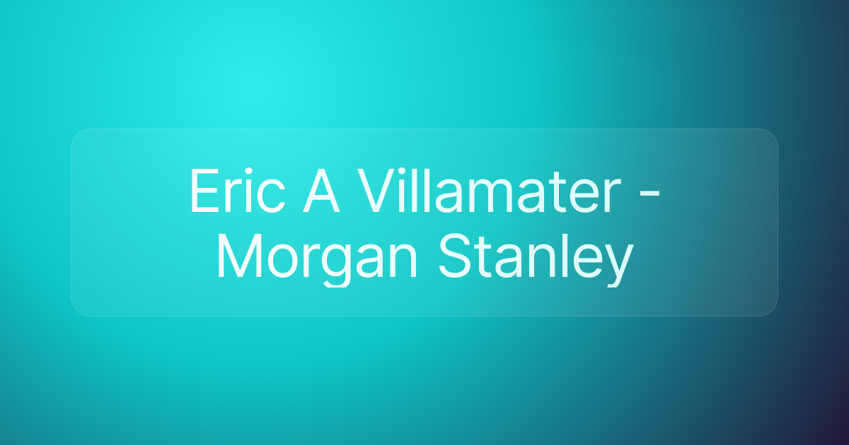 Eric A Villamater - Morgan Stanley