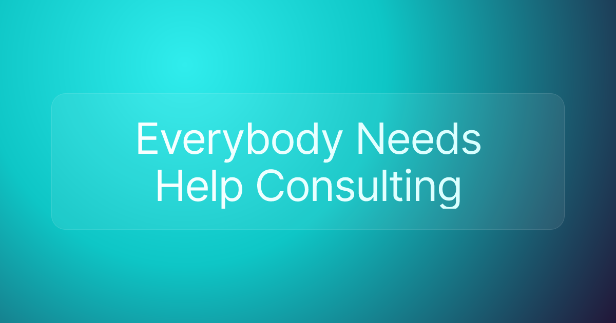 Everybody Needs Help Consulting