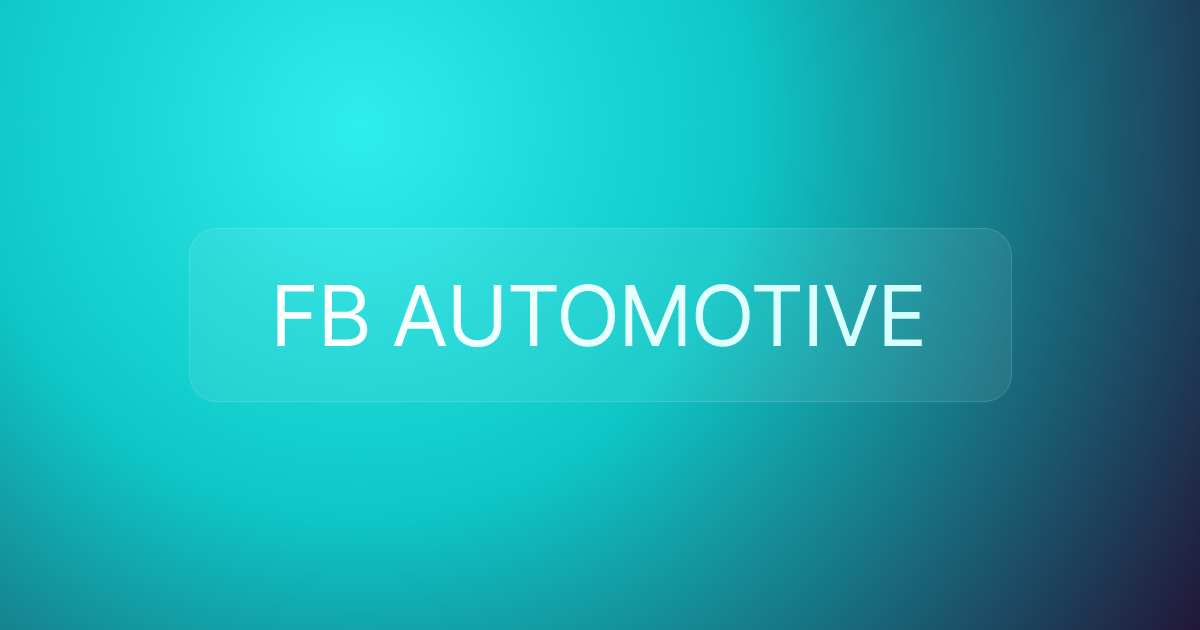 FB AUTOMOTIVE
