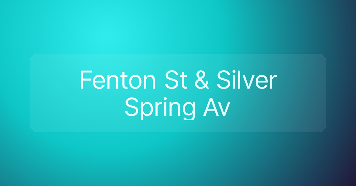 Fenton St & Silver Spring Av