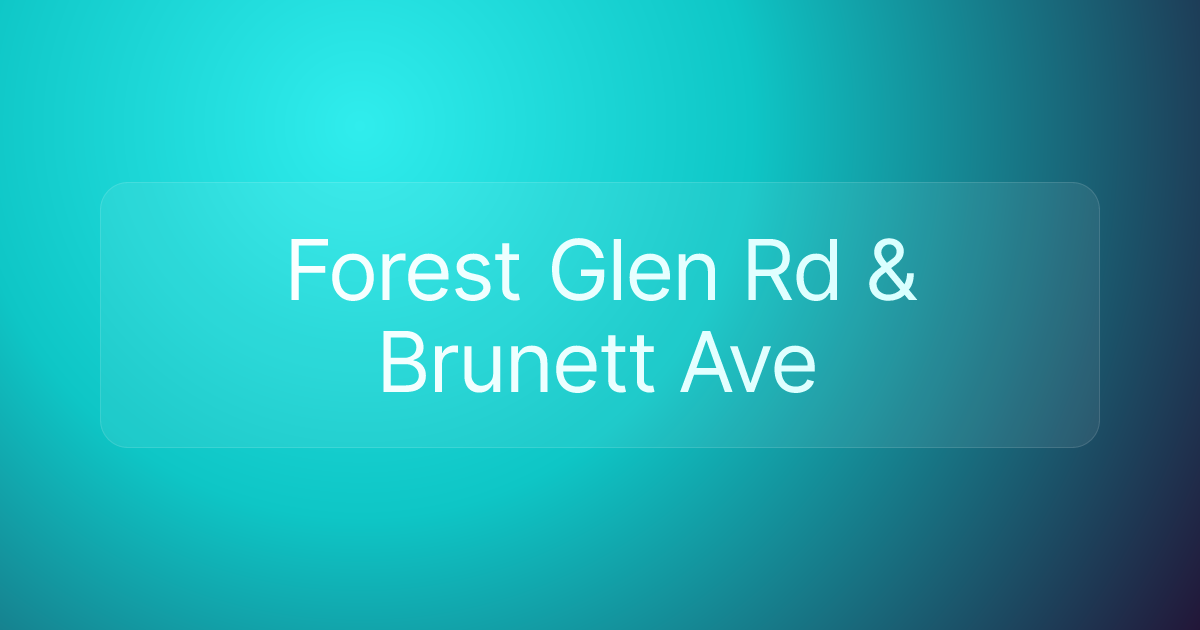 Forest Glen Rd & Brunett Ave