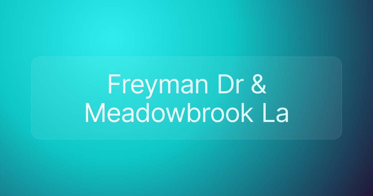 Freyman Dr & Meadowbrook La