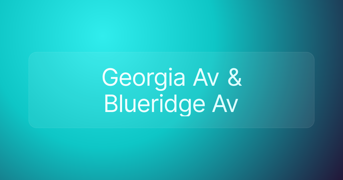 Georgia Av & Blueridge Av