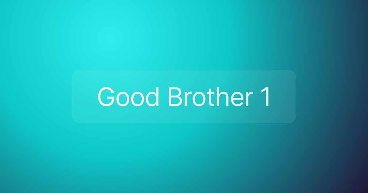 Good Brother 1