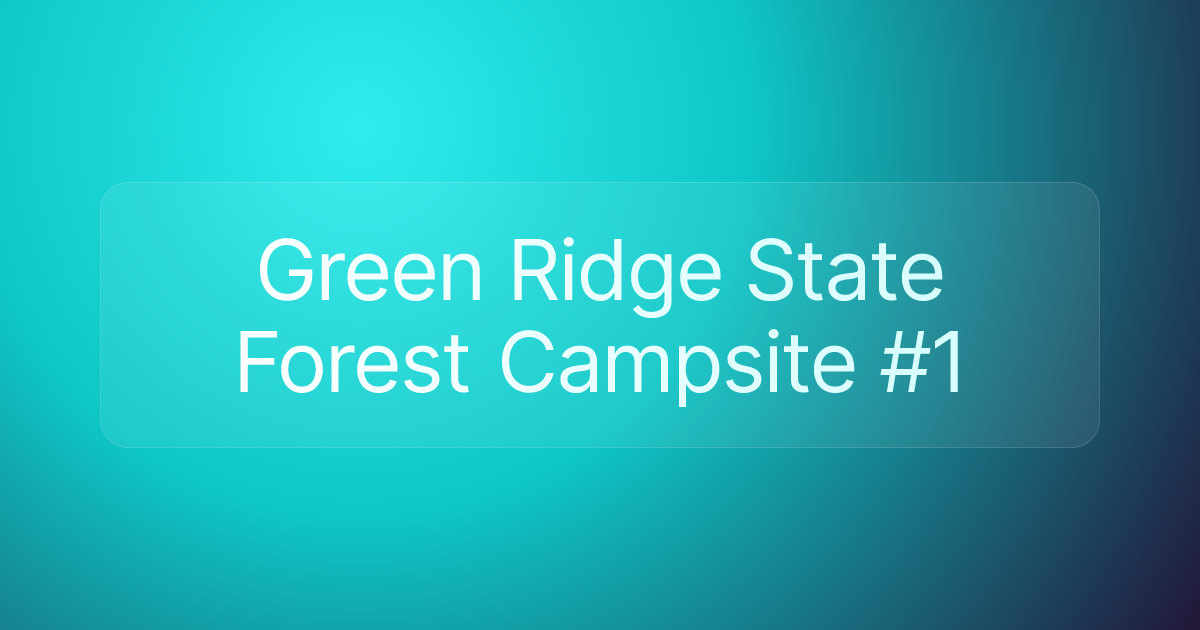 Green Ridge State Forest Campsite #1
