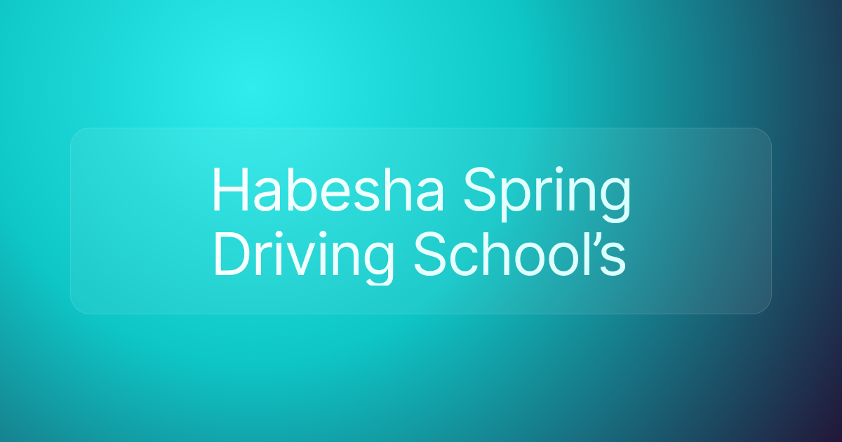Habesha Spring Driving School’s