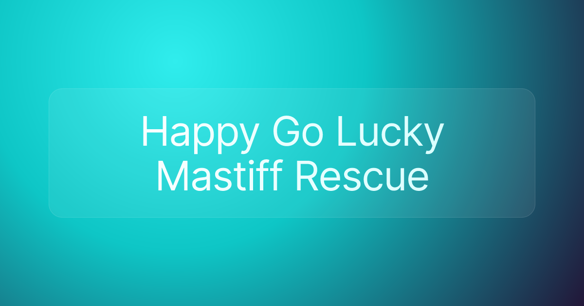 Happy Go Lucky Mastiff Rescue