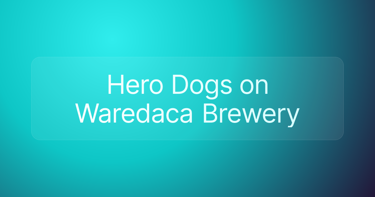 Hero Dogs on Waredaca Brewery
