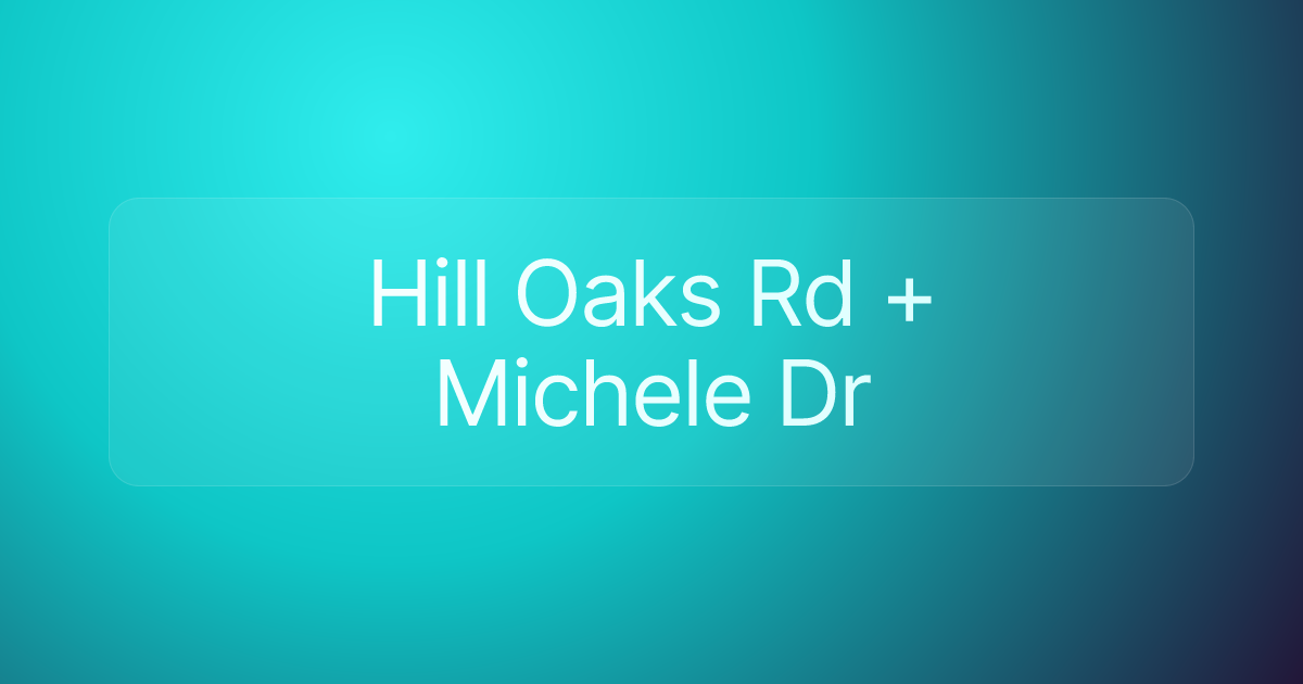 Hill Oaks Rd + Michele Dr