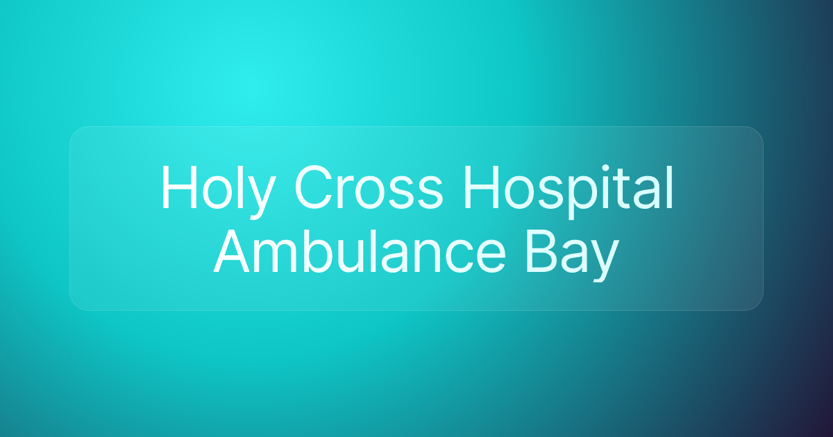 Holy Cross Hospital Ambulance Bay