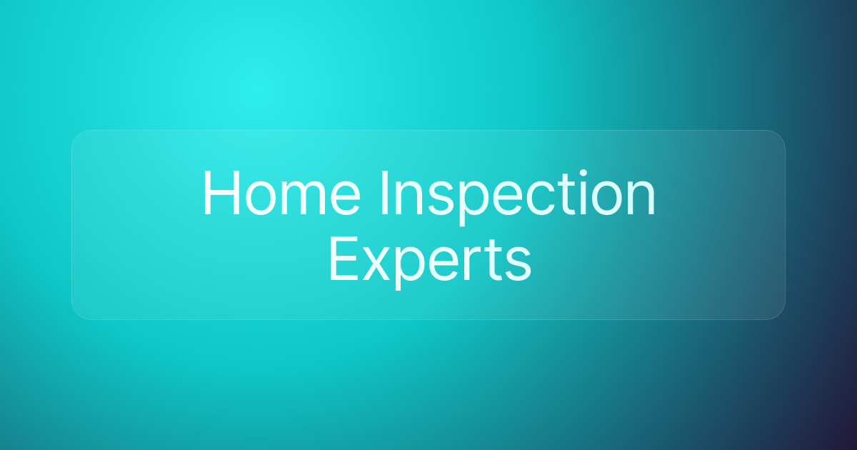 Home Inspection Experts