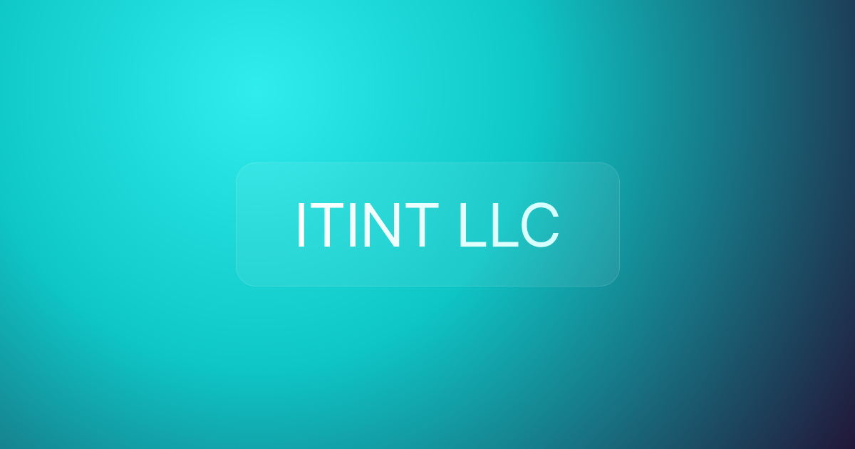 ITINT LLC