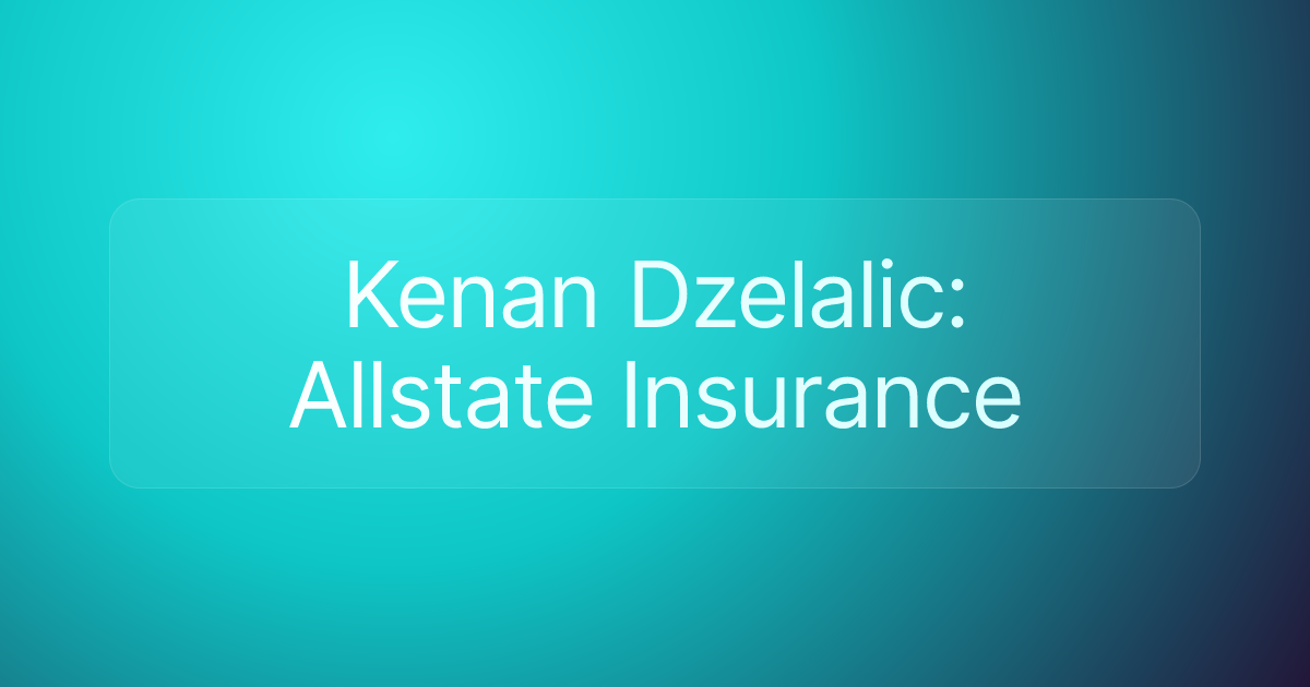 Kenan Dzelalic: Allstate Insurance
