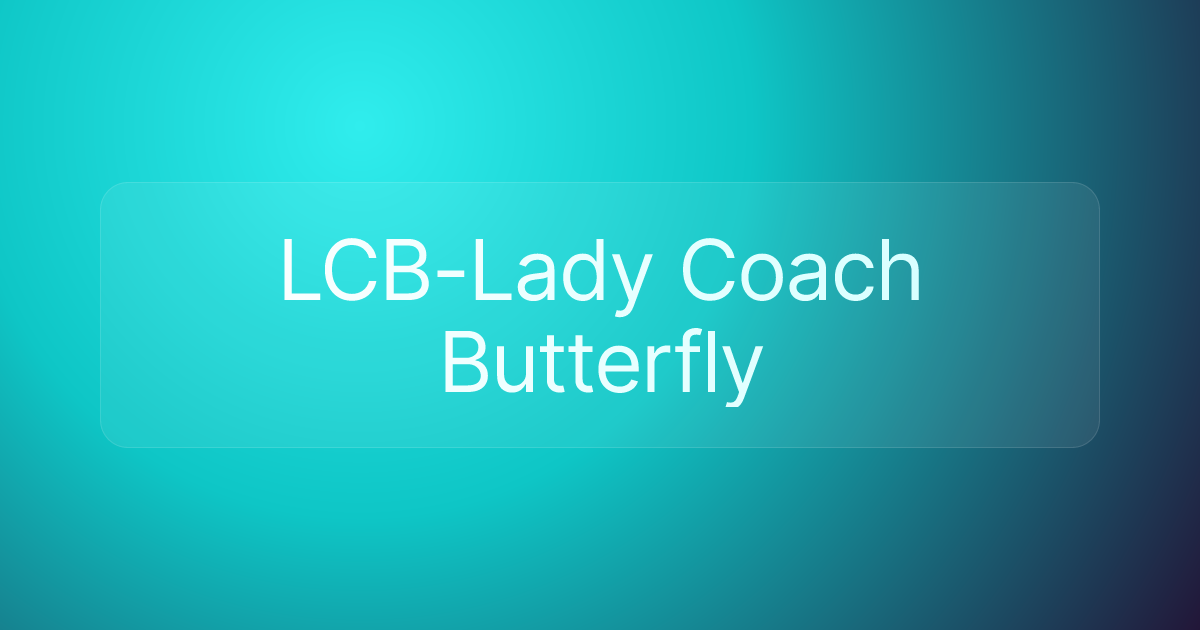 LCB-Lady Coach Butterfly