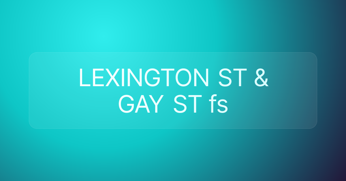 LEXINGTON ST & GAY ST fs