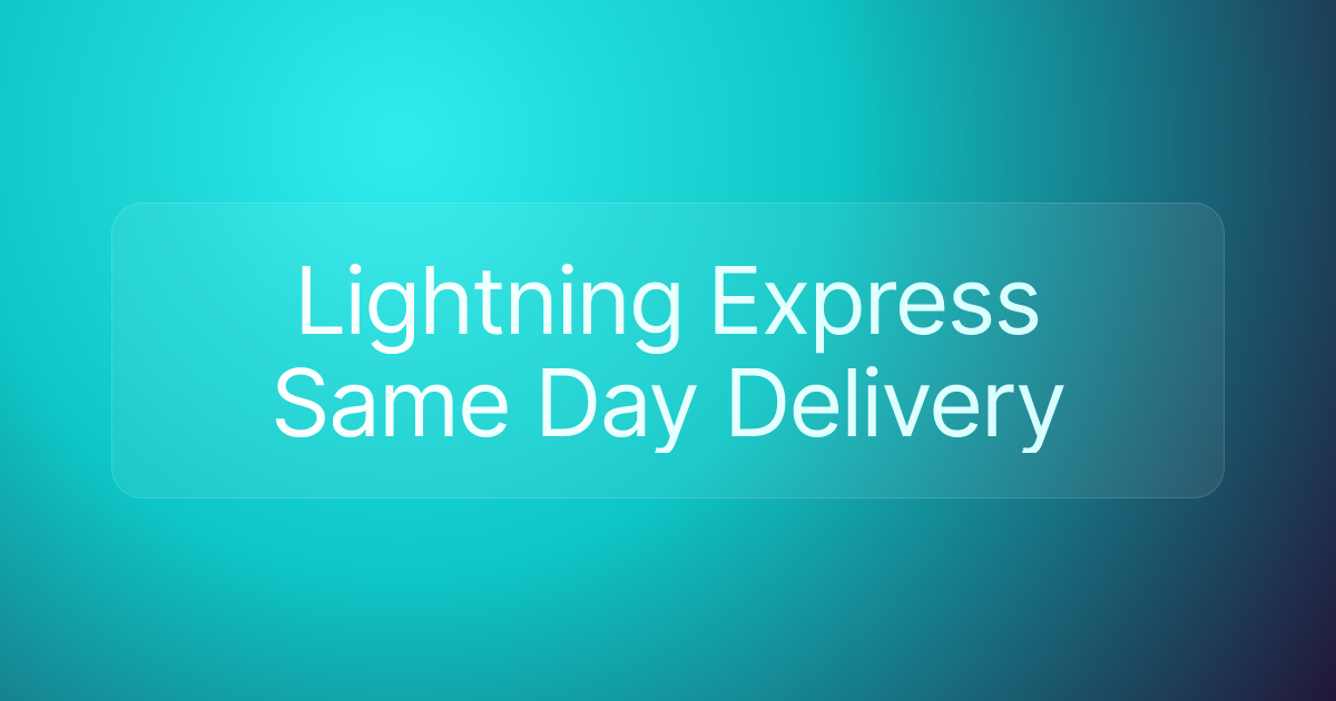 Lightning Express Same Day Delivery