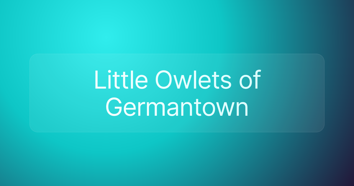 Little Owlets of Germantown