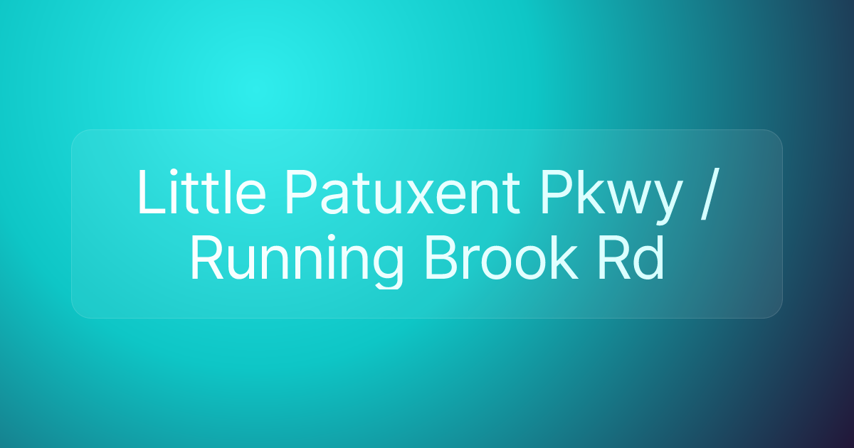 Little Patuxent Pkwy / Running Brook Rd