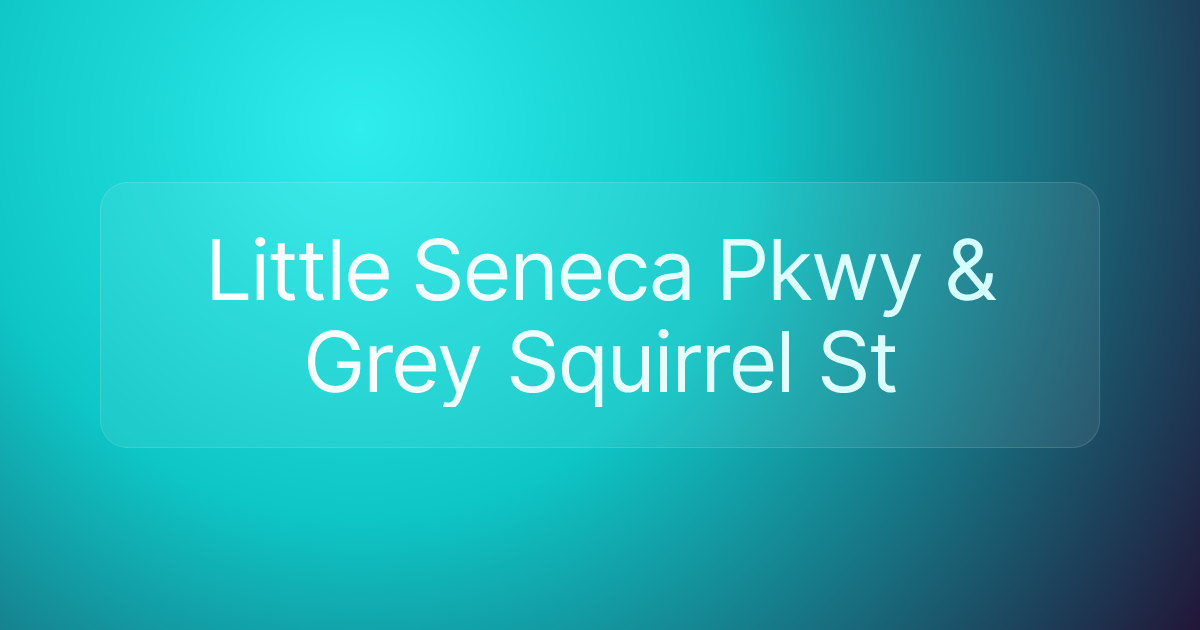 Little Seneca Pkwy & Grey Squirrel St