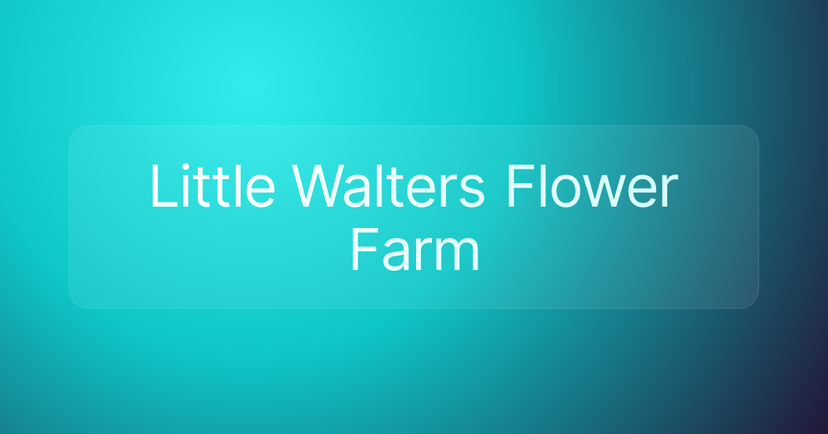 Little Walters Flower Farm