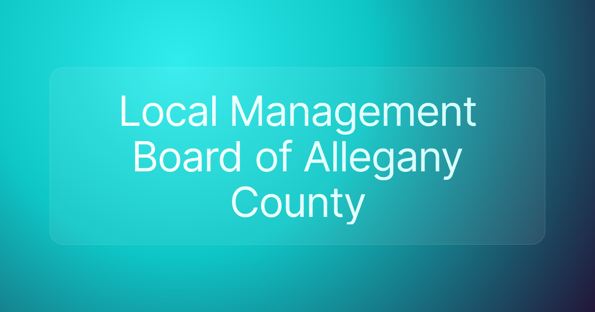 Local Management Board of Allegany County