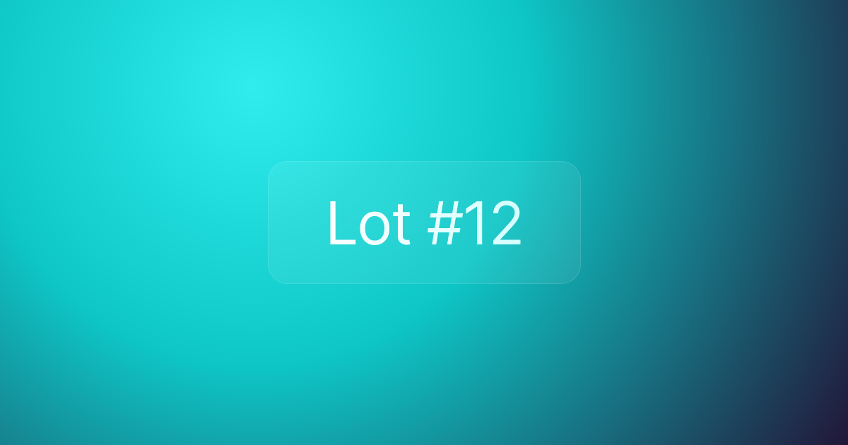 Lot #12
