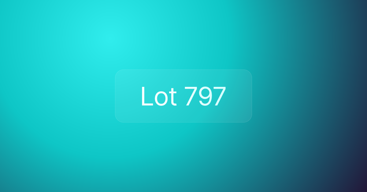 Lot 797