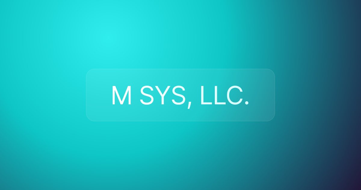 M SYS, LLC.