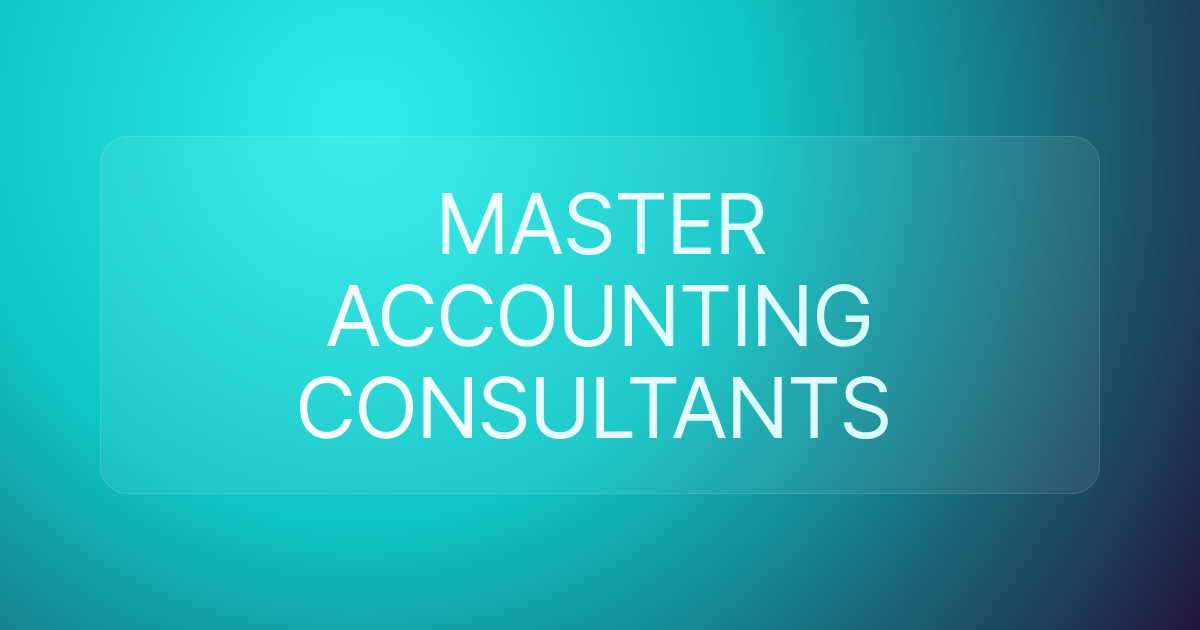 MASTER ACCOUNTING CONSULTANTS