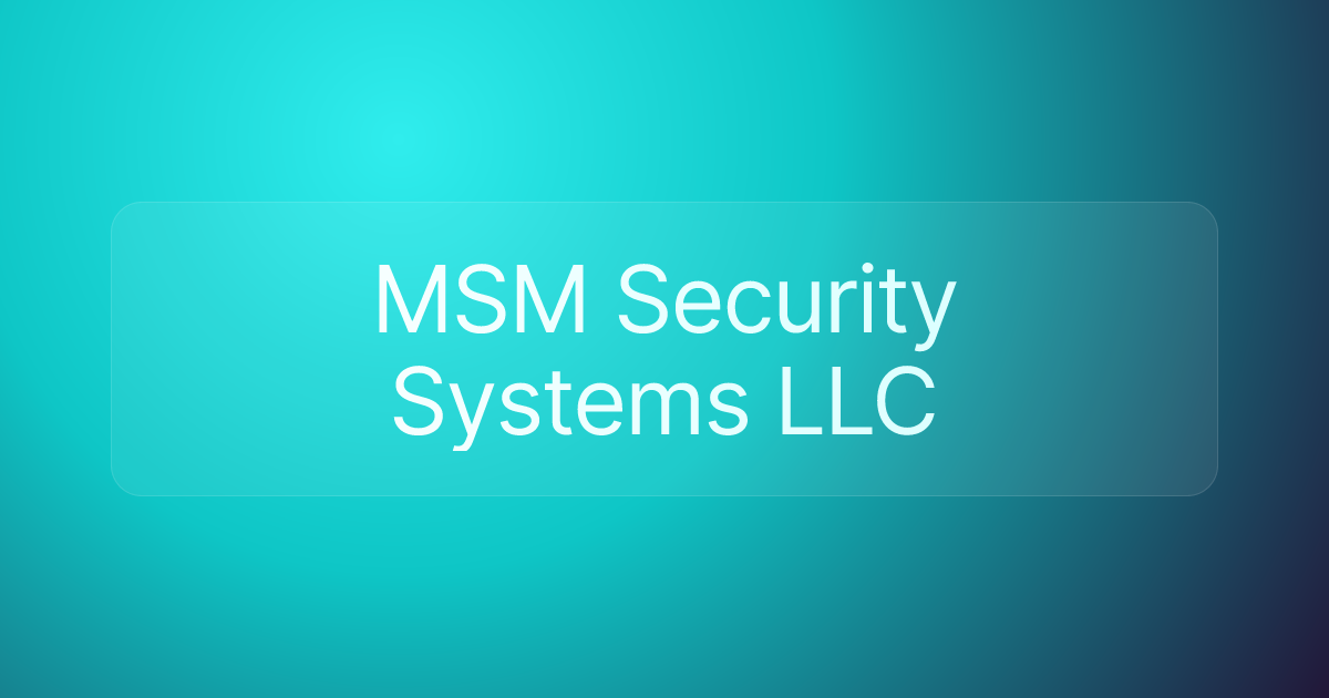 MSM Security Systems LLC