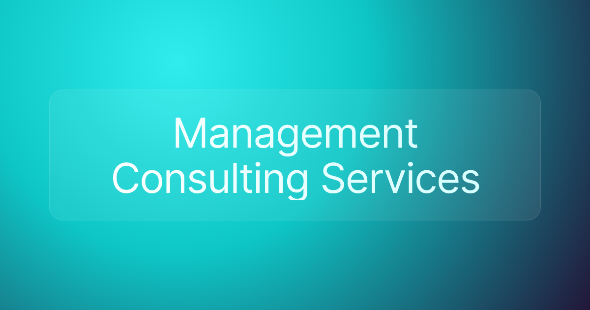 Management Consulting Services