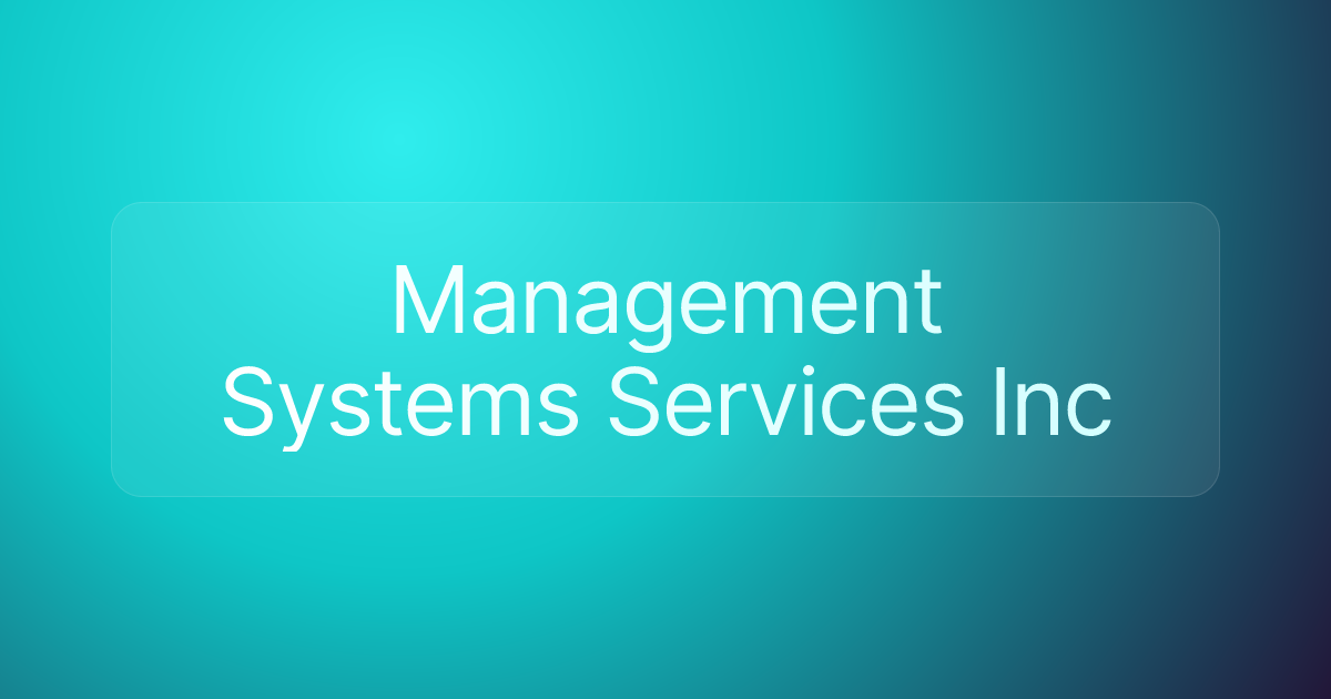 Management Systems Services Inc