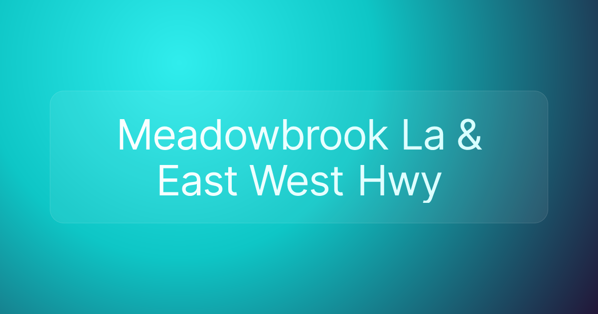 Meadowbrook La & East West Hwy