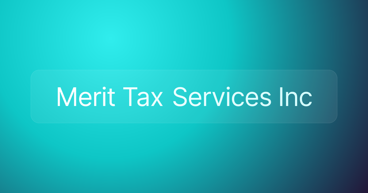 Merit Tax Services Inc