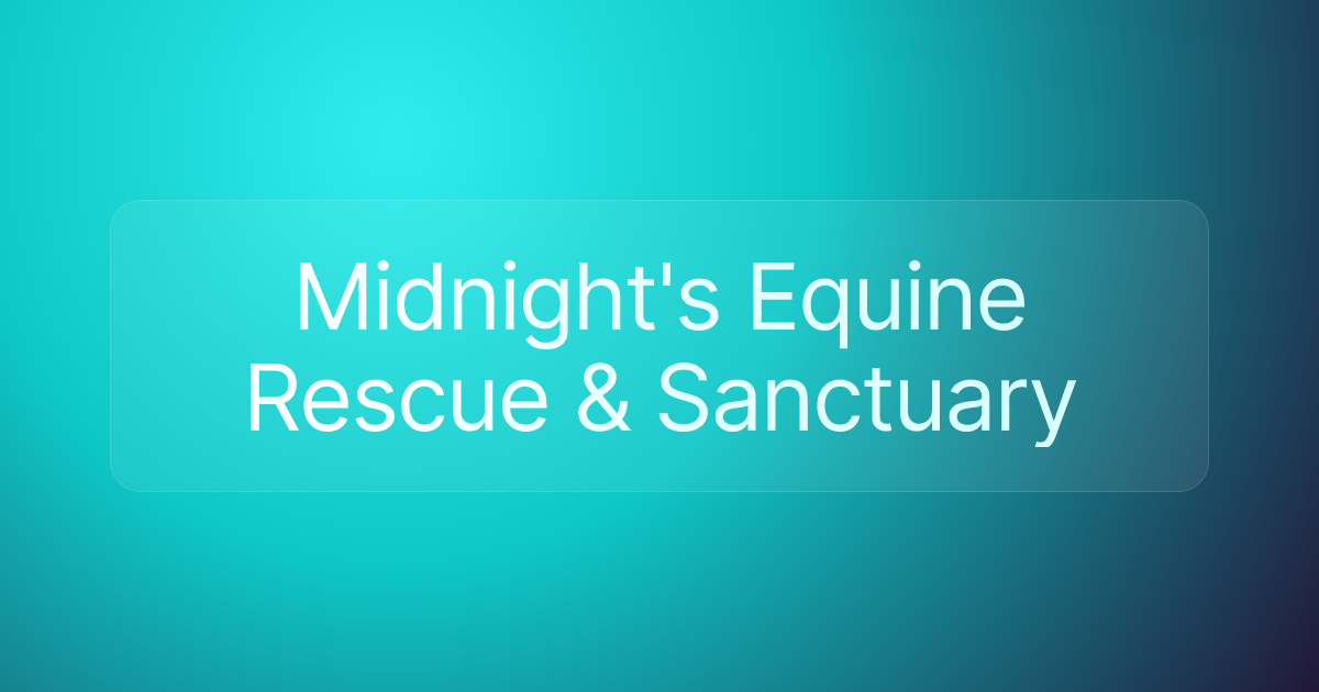 Midnight's Equine Rescue & Sanctuary