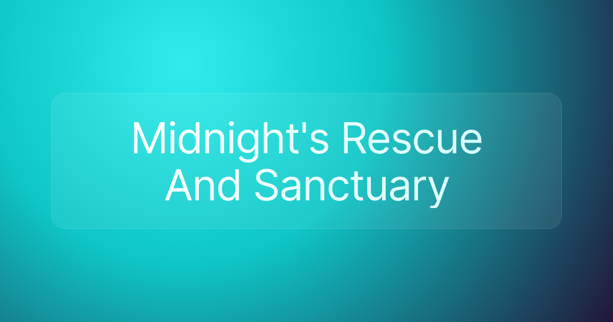 Midnight's Rescue And Sanctuary
