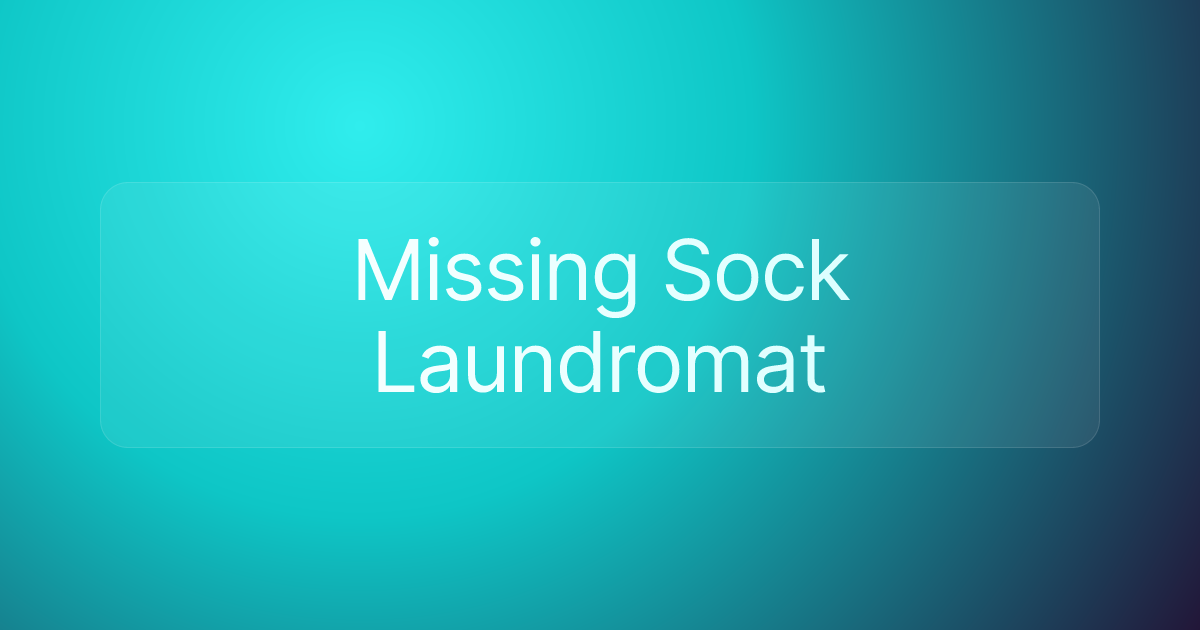 Missing Sock Laundromat
