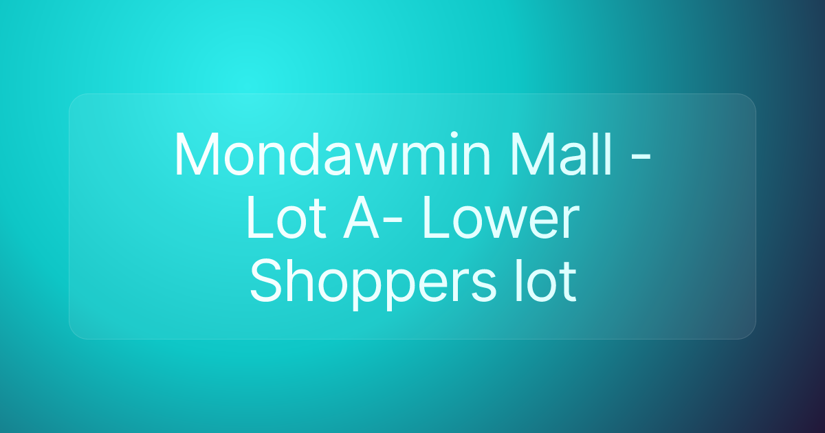 Mondawmin Mall - Lot A- Lower Shoppers lot