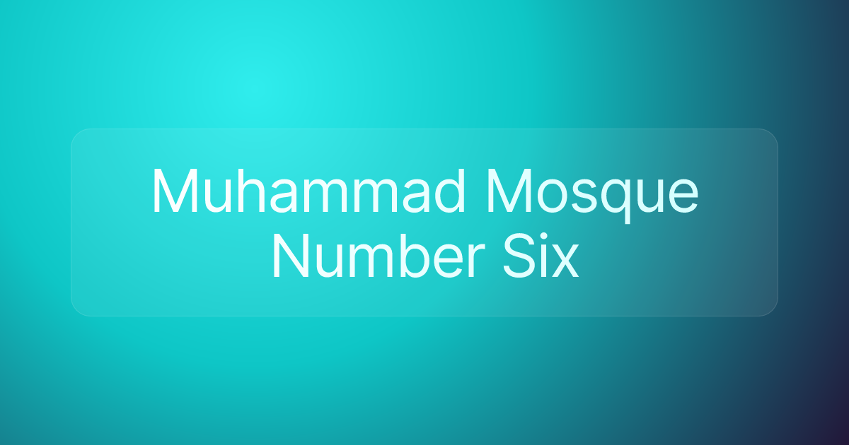 Muhammad Mosque Number Six