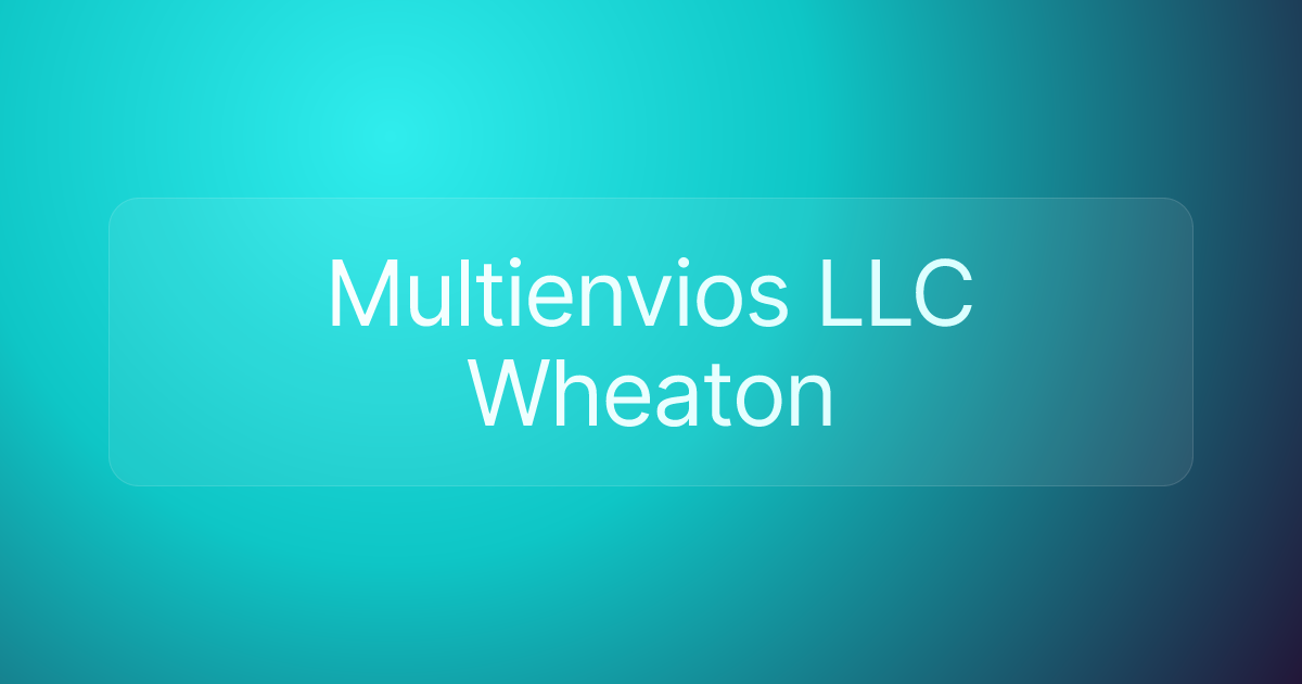 Multienvios LLC Wheaton