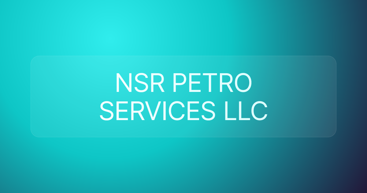 NSR PETRO SERVICES LLC