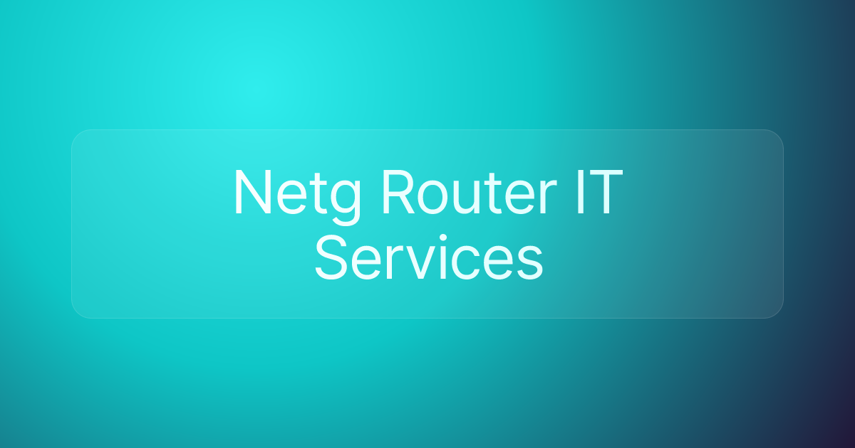 Netg Router IT Services